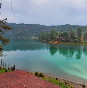 Meet your Posher, Isabel